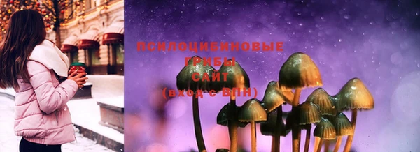 PSILOCYBIN Абаза