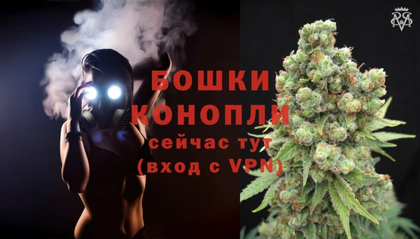 PSILOCYBIN Абаза
