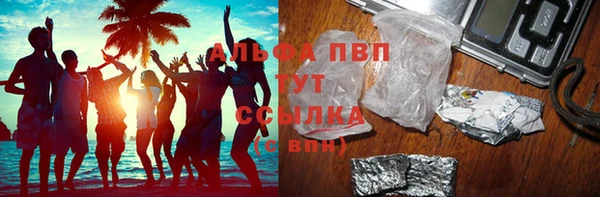 PSILOCYBIN Абаза